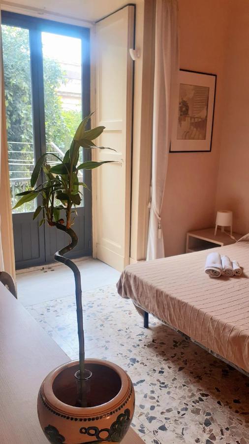 カターニア Bed And Books Isabella Bed & Breakfast エクステリア 写真