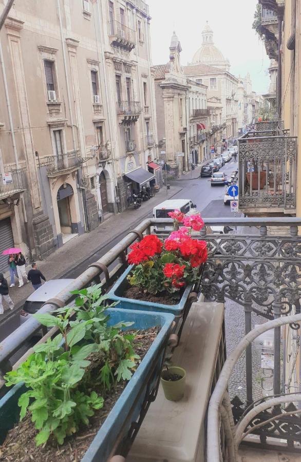カターニア Bed And Books Isabella Bed & Breakfast エクステリア 写真